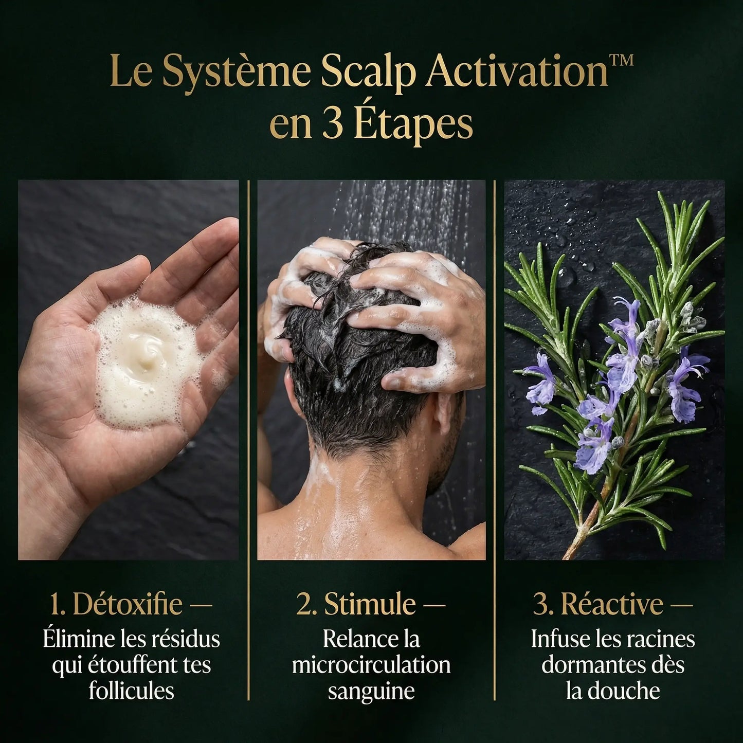 Scalp Activation - Sagani™
